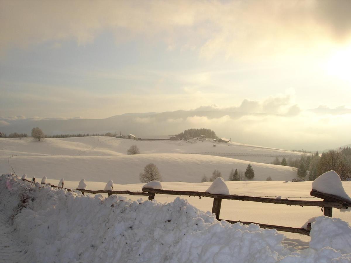Da C I S A Bed & Breakfast Tambre dʼAlpago Dış mekan fotoğraf