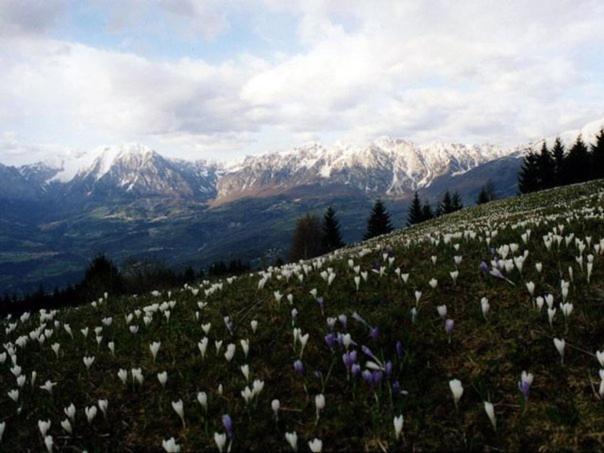 Da C I S A Bed & Breakfast Tambre dʼAlpago Dış mekan fotoğraf