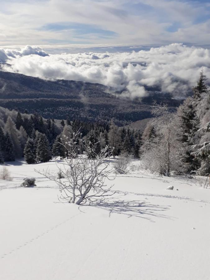 Da C I S A Bed & Breakfast Tambre dʼAlpago Dış mekan fotoğraf
