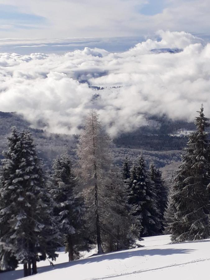 Da C I S A Bed & Breakfast Tambre dʼAlpago Dış mekan fotoğraf