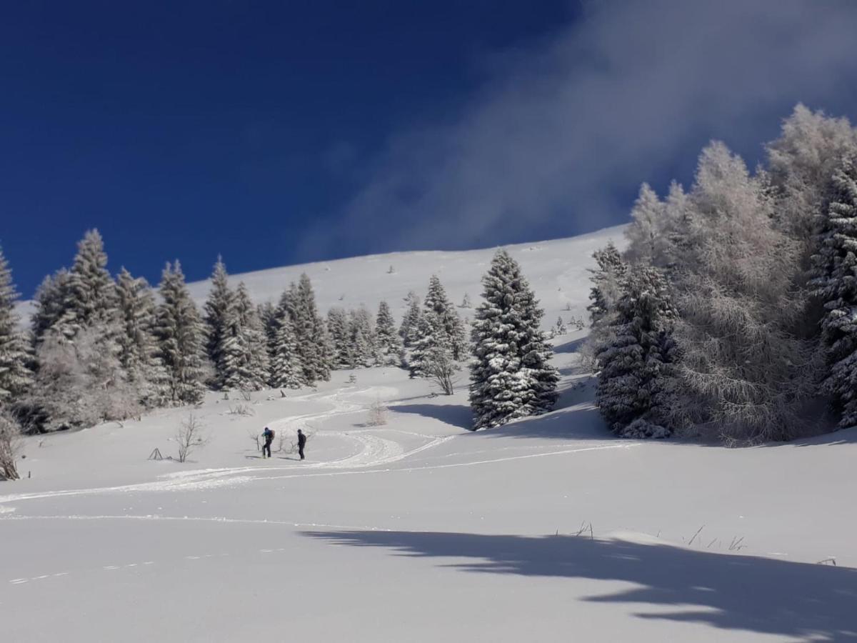 Da C I S A Bed & Breakfast Tambre dʼAlpago Dış mekan fotoğraf