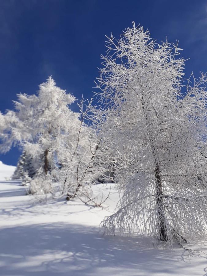 Da C I S A Bed & Breakfast Tambre dʼAlpago Dış mekan fotoğraf