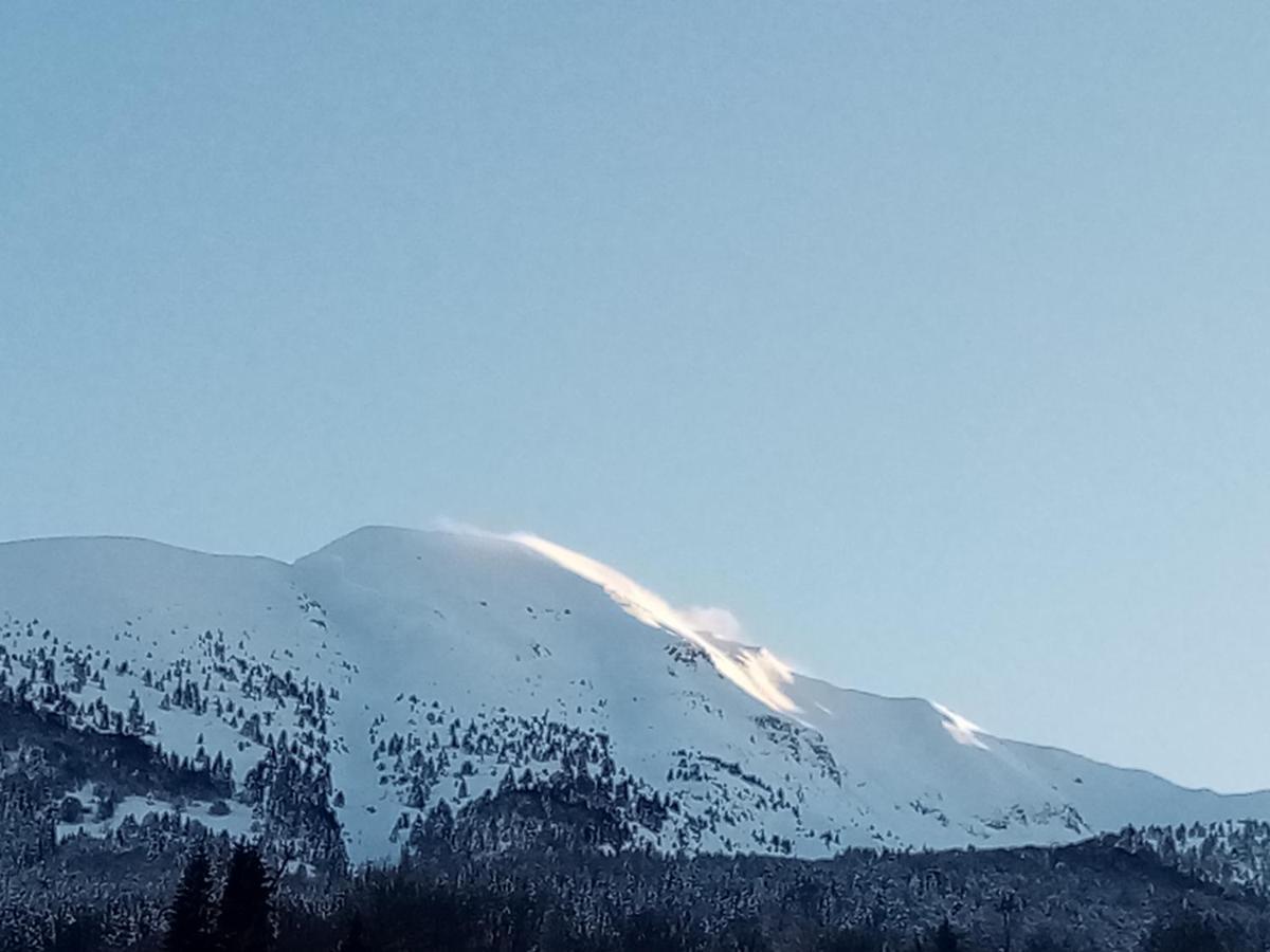 Da C I S A Bed & Breakfast Tambre dʼAlpago Dış mekan fotoğraf